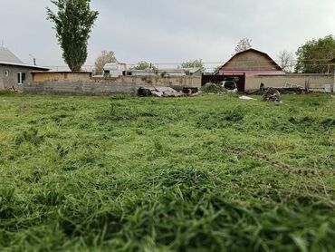 сниму дом на иссык куле: 10 соток, Для строительства, Красная книга