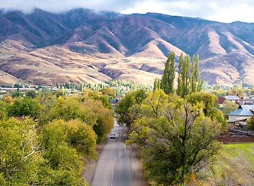 ысык куле: 270 соток, Айыл чарба үчүн — 2
