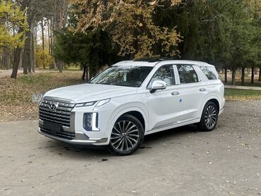 хундай нубира: Hyundai Palisade: 2023 г., 2.2 л, Автомат, Дизель, Жол тандабас