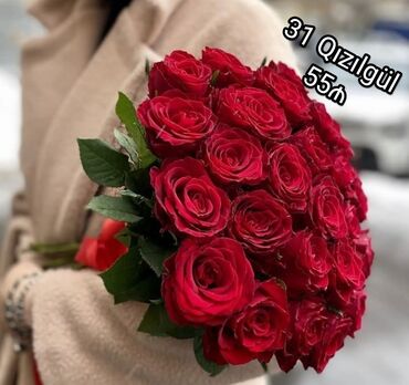 Buket güllər: 🔴 31 Qızılgul - 55₼
🌐 Ün. Əcəmi m yaxınlığı lalafo.az -da Buket güllər: 🔴 31 Qızılgul - 55₼
🌐 Ün. Əcəmi m yaxınlığı