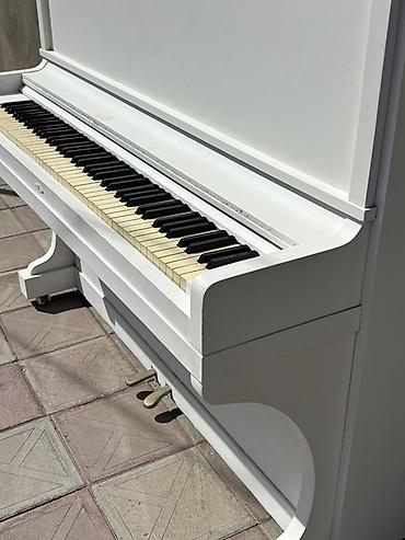 ağ piano: Ağ rəngli akustik upright pianino - Klassik vertikal korpus, sadə və — 7