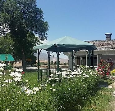 Иссык-Куль 2026: Номер, Аист Тамга — 22