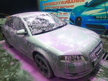 Audi: Audi A4: 2006 г., 0.2 л, Автомат, Газ, Седан