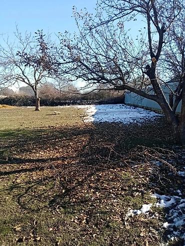 Torpaq sahələrinin satışı: 20 sot, Tikinti, Maklerlər narahat etməsin, Kupça (Çıxarış) -da lalafo.az — 23 Torpaq sahələrinin satışı: 20 sot, Tikinti, Maklerlər narahat etməsin, Kupça (Çıxarış) — 23