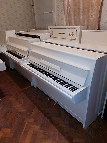 Musiqi alətləri: Pianino PETROF Cexiya istehsalı. İdeal vəziyyədə. Cadrılma və köklənmə — 2
