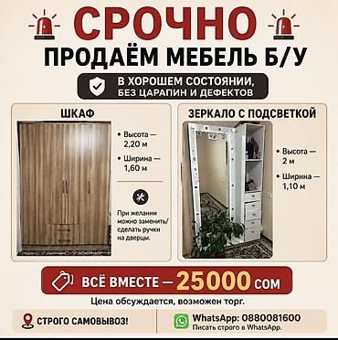 standing mirror: Комплект мебели: шкаф + зеркало с подсветкой Шкаф: - Высота: 2,20 м - — 1