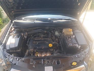 termostat opel astra f: Opel Astra: 1.4 l | 2009 il 333000 km Hetçbek — 10