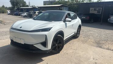 электромобиль neta: Dongfeng : 2024 г., 0.1 л, Робот, Электромобиль, Кроссовер