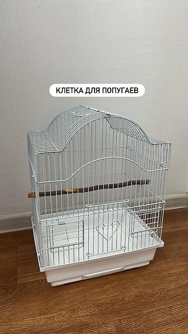 белки летяги: Клетка для попугаев Нужно докупить кормушки - Металлическая решётка — 1
