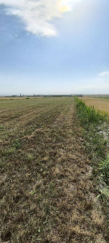 Продажа участков: 100 соток, Для сельского хозяйства — 4