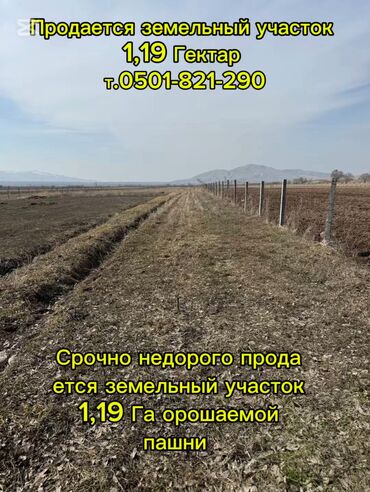 Продажа участков: 119 соток, Для сельского хозяйства, Договор купли-продажи