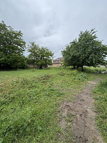 1 bedroom: 15 соток, Для строительства, Красная книга, Договор купли-продажи — 3