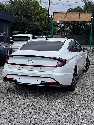 sonata 2003: Hyundai Sonata: 2019 г., 2 л, Автомат, Газ, Седан — 4