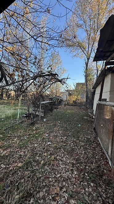 Продажа дач: Срочно продаю участок 26 соток вместе с домом Кара балта — 5