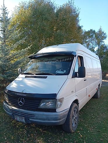 компрессор на 50 литров: Легкий грузовик, Mercedes-Benz, Стандарт, 3 т, Б/у — 4