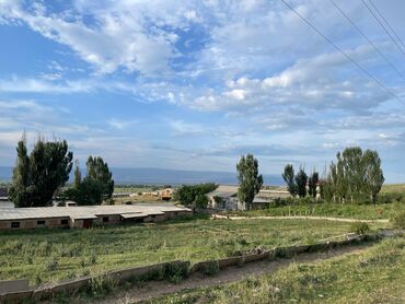дом хай тек в реальной жизни: Сатам Кой короо, 1000 соток, Иштеп жаткан, Жабдуулары менен, Электр энергиясы, Канализация, Жылытуу