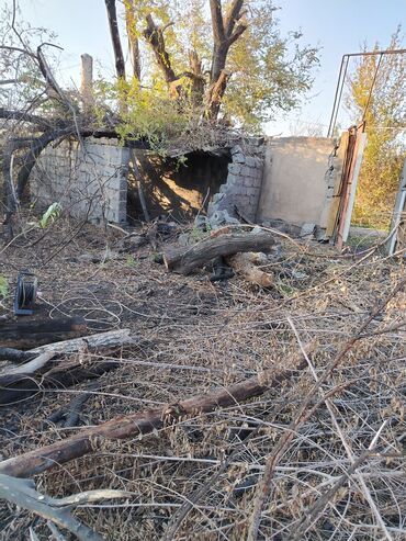 Дрова: Дрова — 3