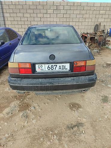 Volkswagen: Volkswagen Vento: 1995 г., Седан — 2