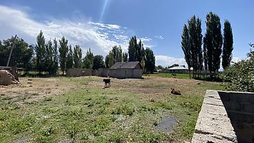 комната ижара: 16 соток, Курулуш, Техпаспорт, Сатып алуу-сатуу келишими — 5