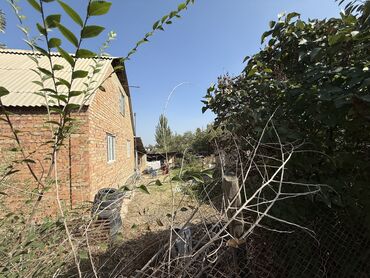 продаю дом в пригородном: 5 соток, Курулуш, Кызыл китеп
