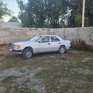 Mercedes-Benz W124: 1993 г., 3 л, Механика, Дизель, Седан