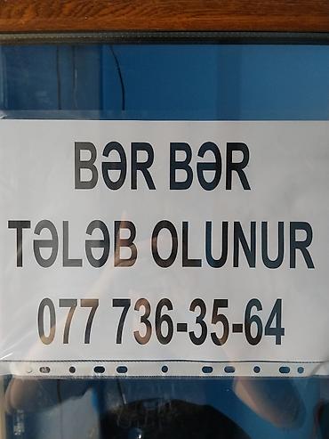 Bərbərlər | Saç kəsimi lalafo.az -da Bərbərlər | Saç kəsimi
