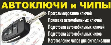срочно продаю в связи с переездом: Автоключи и чипы — профессиональные услуги: - Программирование ключей