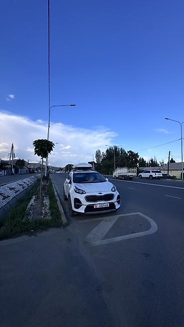 саренто 2020: Kia Sportage: 2019 г., 1.6 л, Дизель, Кроссовер — 1