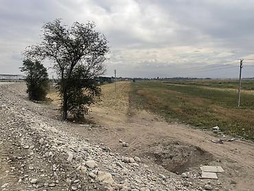 Продажа участков: 270 соток, Для бизнеса, Договор купли-продажи, Договор долевого участия, Договор дарения — 9