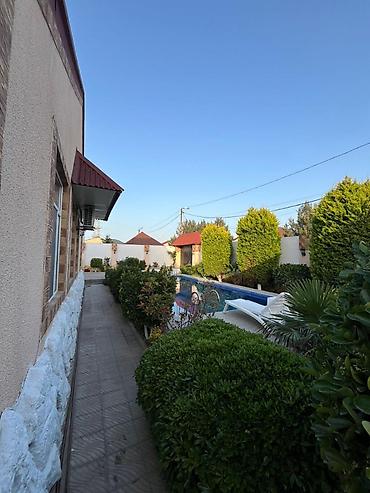 garden: 20 avqustdan sentyabr ayı boyunca Şüvalanda bağ evi icarəyə verilir — 9