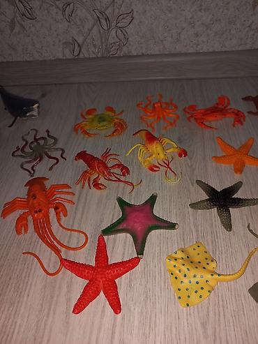 deniz donuzcugu: Oyuncaq - dəniz heyvanların fiqurları satılır. Hamısı demək olar əla — 3