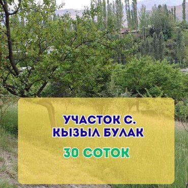 сдаю квартиру ахунбаева абая: 30 соток, Курулуш, Кызыл китеп