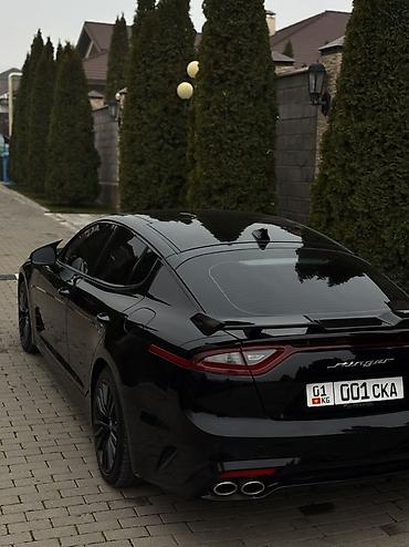 для химчистки салона: Kia Stinger: 2019 г., 2 л, Автомат, Бензин, Фастбек — 4