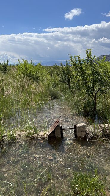 Продажа участков: 600 соток, Для сельского хозяйства, Красная книга, Тех паспорт, Договор купли-продажи — 24