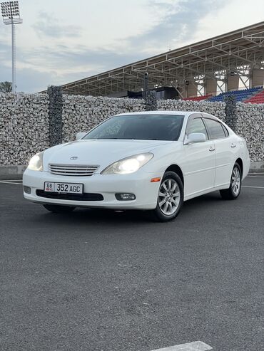 дрифтовая машина: Toyota Windom: 2003 г., 3 л, Автомат, Газ, Седан
