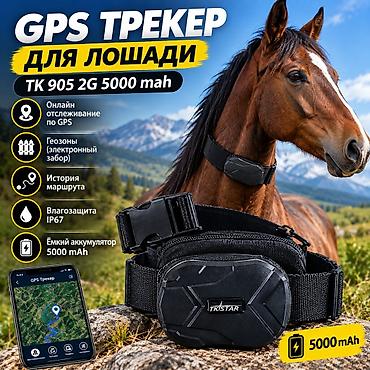 трекер бишкек: GPS Трекер ТК 905 5000 mah 🚗 Трекер для отслеживания автомобиля и — 1