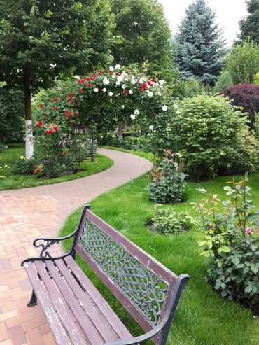 Другие услуги: Обрезка плодовых и декоративных деревьев, винограда,роз и других — 7