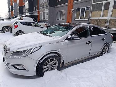 Hyundai: Hyundai Sonata: 2016 г., 2 л, Автомат, Бензин, Седан — 3
