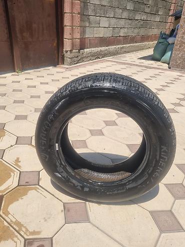 шина 315 60 22 5: Шины 205 / 60 / R 15, Лето, Б/у, 1 шт, Легковые, Корея, Hankook — 3