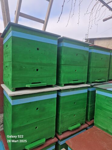 Arı yeşikləri: Arıçılıq üçün taxta pətək korpusları və qapaqları Məhsul təsviri: - — 6