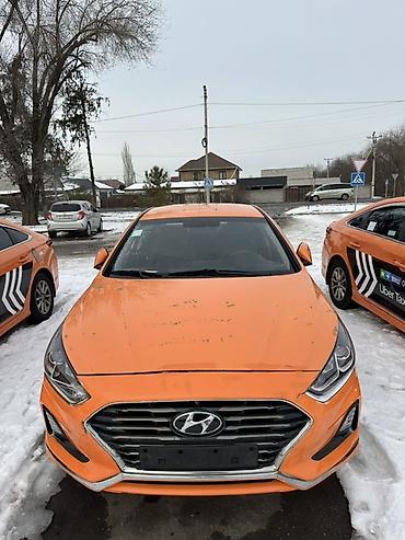 Hyundai: Hyundai Sonata: 2019 г., 2 л, Автомат, Газ, Седан — 20