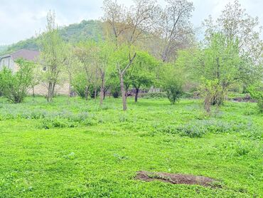 Torpaq sahələrinin satışı: 15 sot, Tikinti, Mülkiyyətçi, Kupça (Çıxarış) — 12