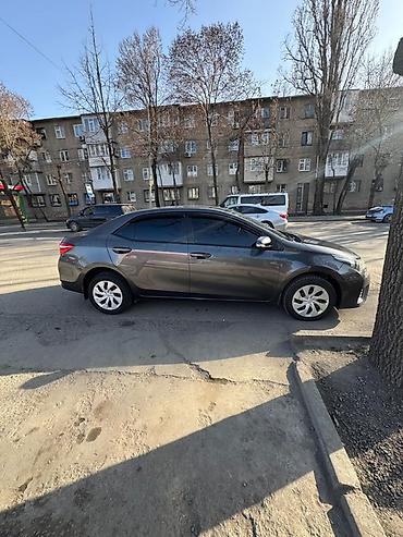 Toyota: Toyota Corolla: 2014 г., 1.6 л, Автомат, Бензин, Седан — 7