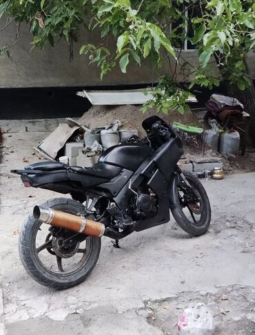 спартивный мотоцикл: Спортбайк Stels, 250 куб. см, Бензин, Взрослый, Б/у