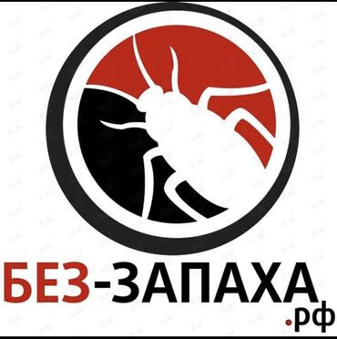 Дезинфекция, дезинсекция: Дезинфекция, дезинсекция, | Мыши и крысы, Клопы, Муравьи, | Дома, Кафе, магазины, Квартиры — 10