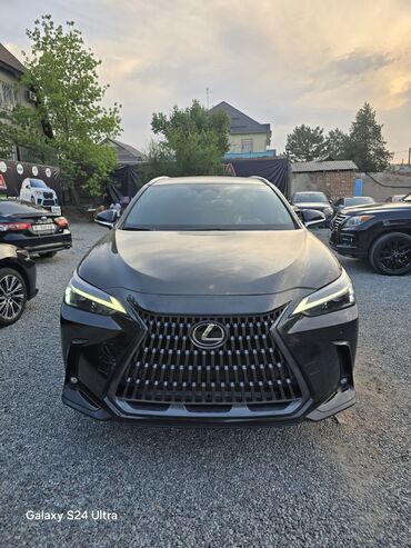 runx alex: Lexus NX: 2024 г., 2.4 л, Типтроник, Бензин, Кроссовер