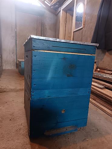 sudluk inekler satışı: Arıçılıq üçün taxta pətək korpusları - Material: qalın taxta — 2