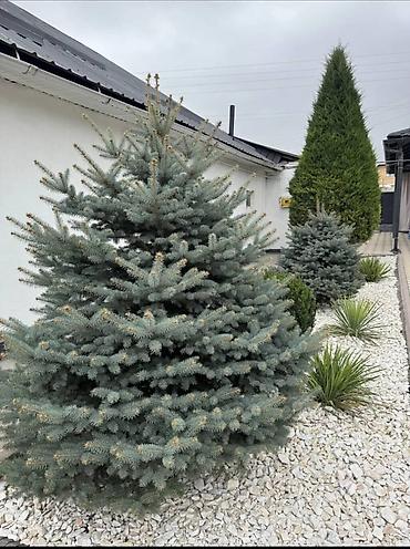 Продажа коттеджей и домов: 🏡 Продается 4-комнатный дом 📍 Район: ж/м Ак-Орго (по ул. Алыкулова) — 16