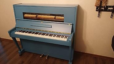 Klavişli alətlər: Məhsul: Akustik piano Belarus (şaquli, upright) Xüsusiyyətlər: - — 4