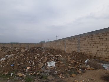 Torpaq sahələrinin satışı: 100 sot, Kupça (Çıxarış) -da lalafo.az — 7 Torpaq sahələrinin satışı: 100 sot, Kupça (Çıxarış) — 7